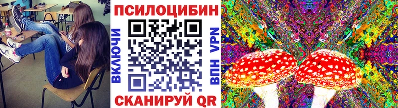 Галлюциногенные грибы Magic Shrooms  Купить  Камызяк 